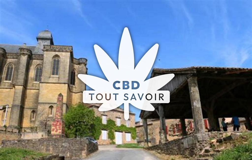 Village à Vergt-de-Biron avec feuille Cannabis CBD
