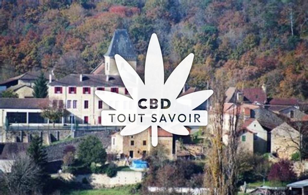 Village à Saint-Cernin-de-l'Herm avec feuille Cannabis CBD