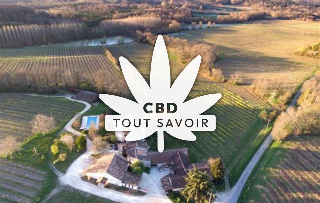 Village à Conne-de-Labarde avec feuille Cannabis CBD