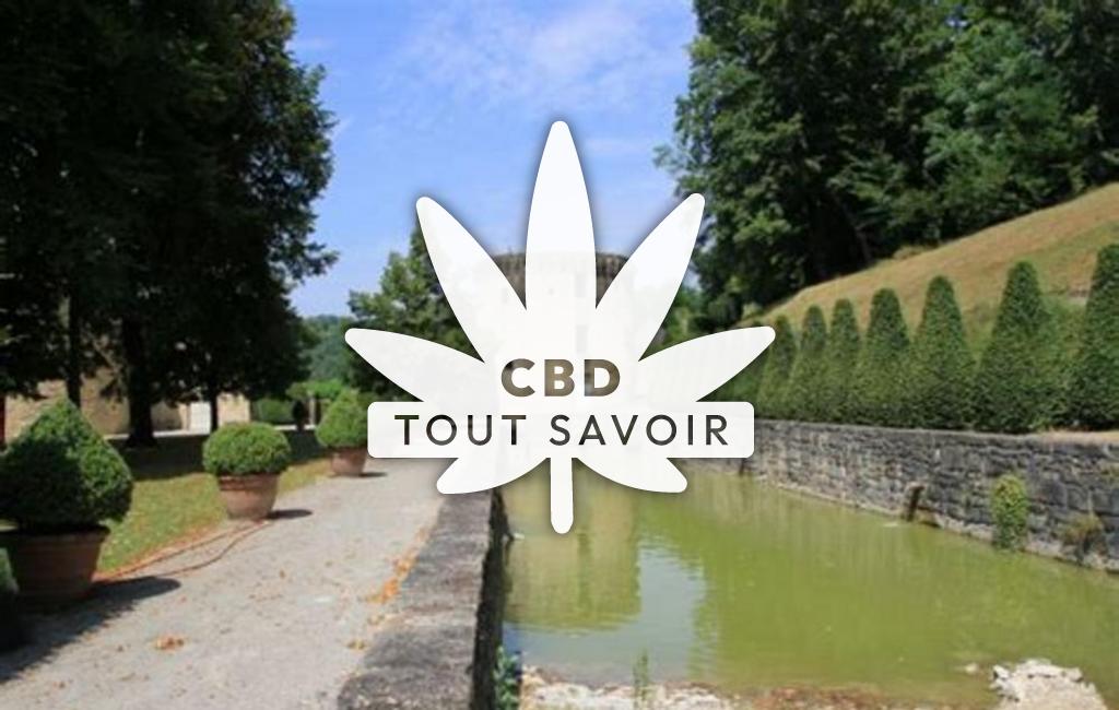 Village à Le-Lardin-Saint-Lazare avec feuille Cannabis CBD