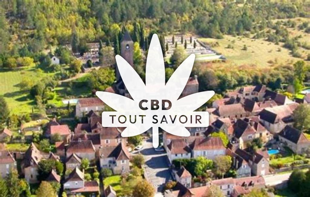Village à Plazac avec feuille Cannabis CBD