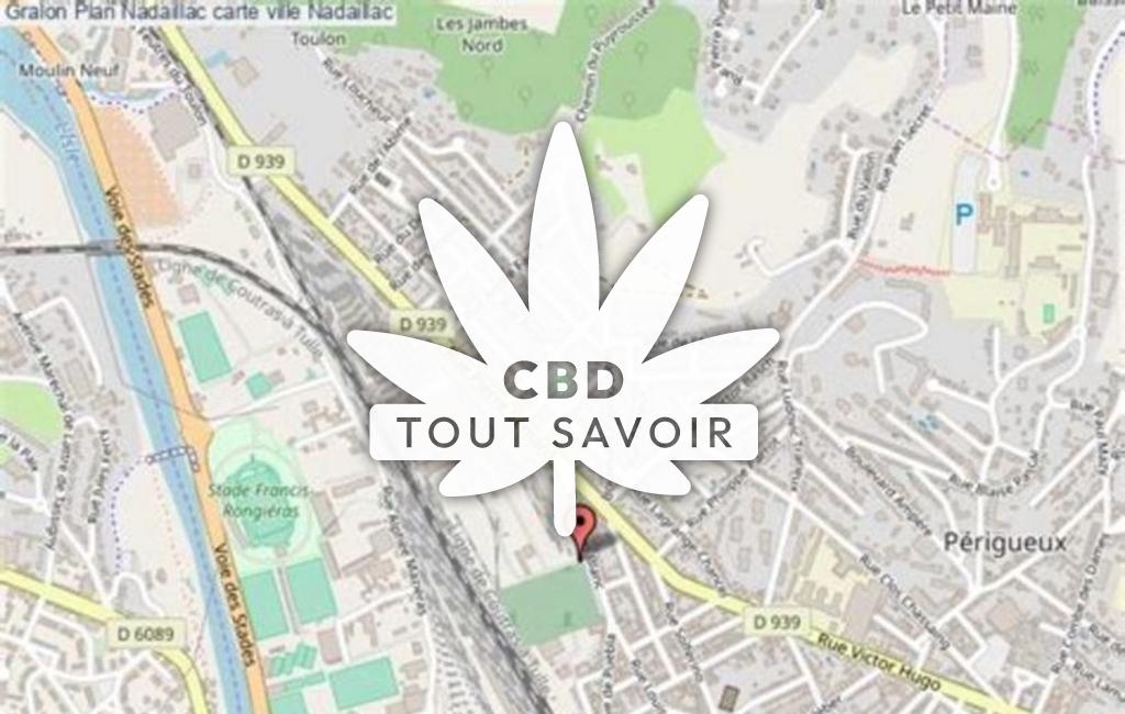 Village à Nadaillac avec feuille Cannabis CBD