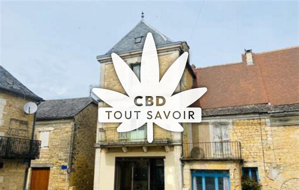 Village à Salignac-Eyvigues avec feuille Cannabis CBD