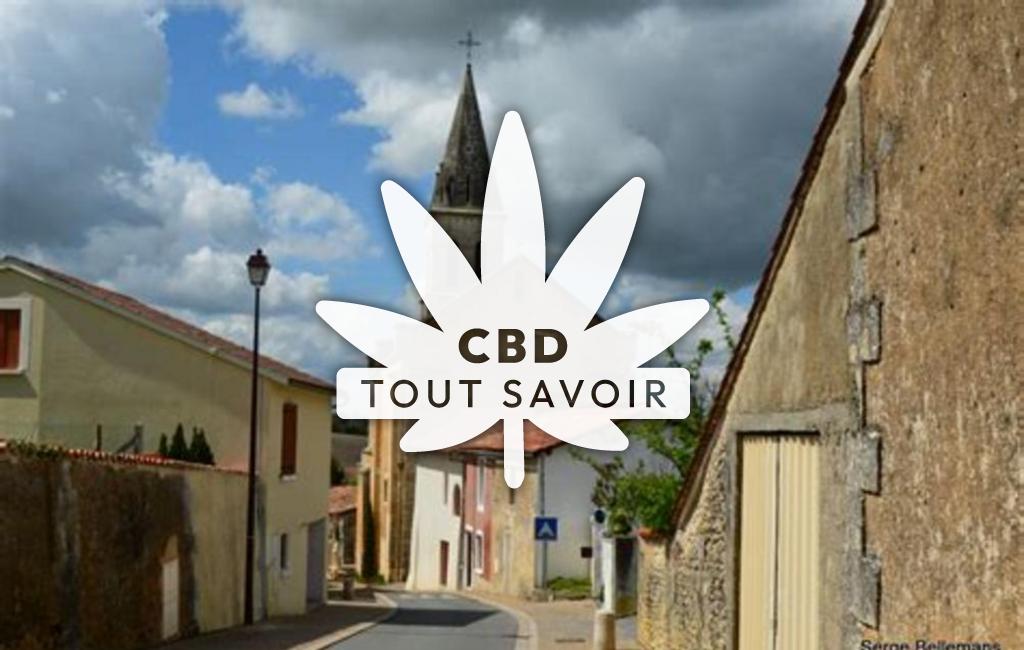 Village à Saint-Martin-de-Riberac avec feuille Cannabis CBD