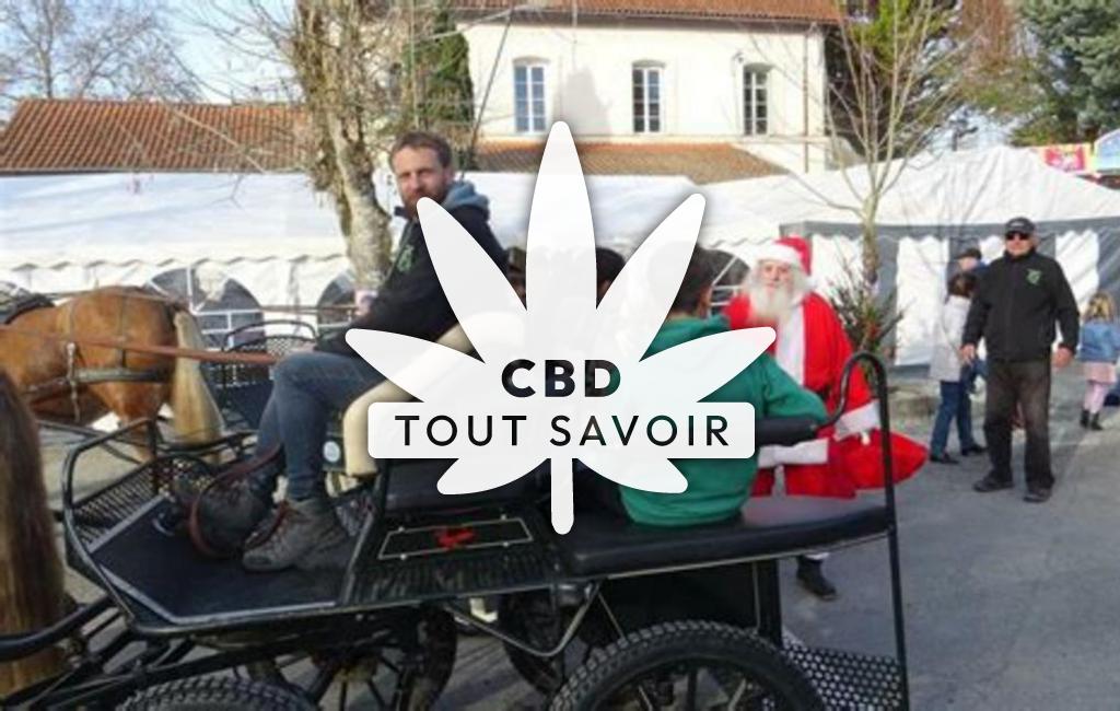 Village à Saint-Meard-de-Drone avec feuille Cannabis CBD