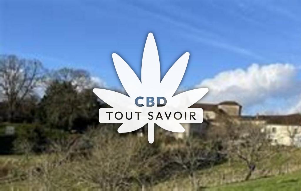 Village à Saint-Pardoux-de-Drone avec feuille Cannabis CBD