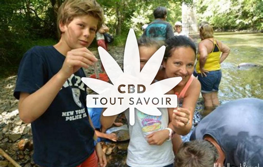 Village à Cubjac-Auvezere-Val-D'Ans avec feuille Cannabis CBD