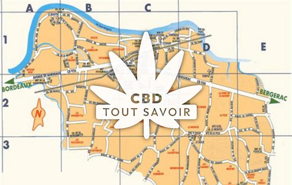 Village à Lamonzie-Saint-Martin avec feuille Cannabis CBD