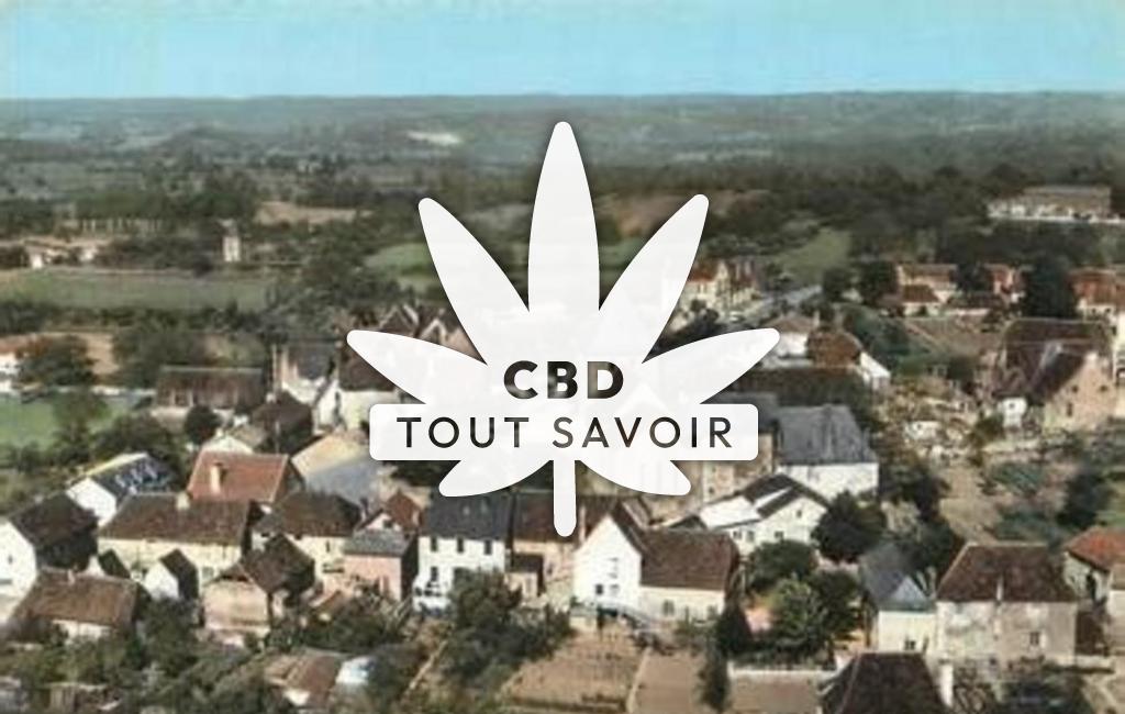 Village à Saint-Sulpice-D'Excideuil avec feuille Cannabis CBD