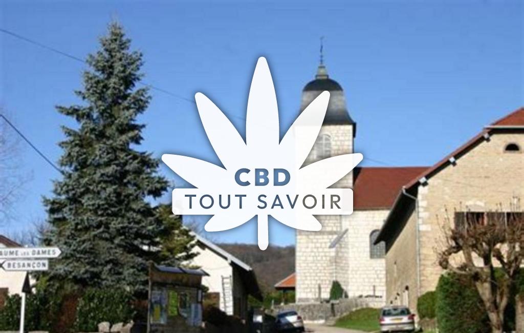 Village à Dammartin-les-Templiers avec feuille Cannabis CBD