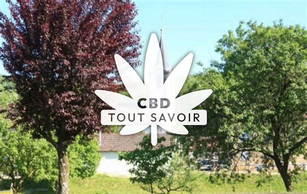 Village à Villers-Saint-Martin avec feuille Cannabis CBD