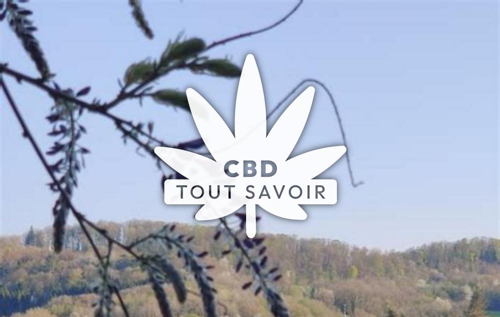 Village à Voillans avec feuille Cannabis CBD