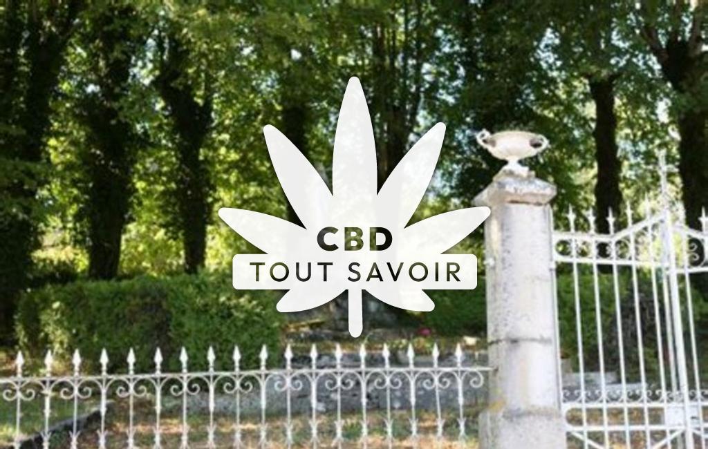 Village à Cernay-l'Eglise avec feuille Cannabis CBD