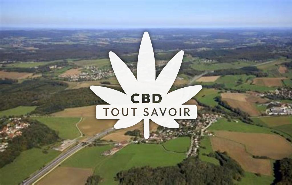 Village à Champvans-les-Moulins avec feuille Cannabis CBD