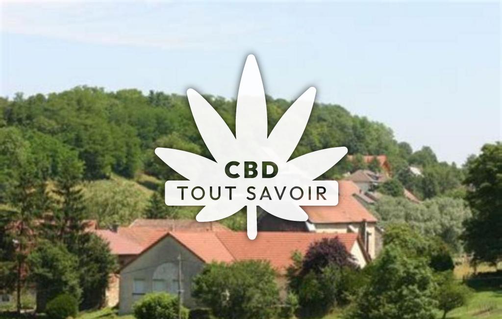 Village à Villers-Buzon avec feuille Cannabis CBD