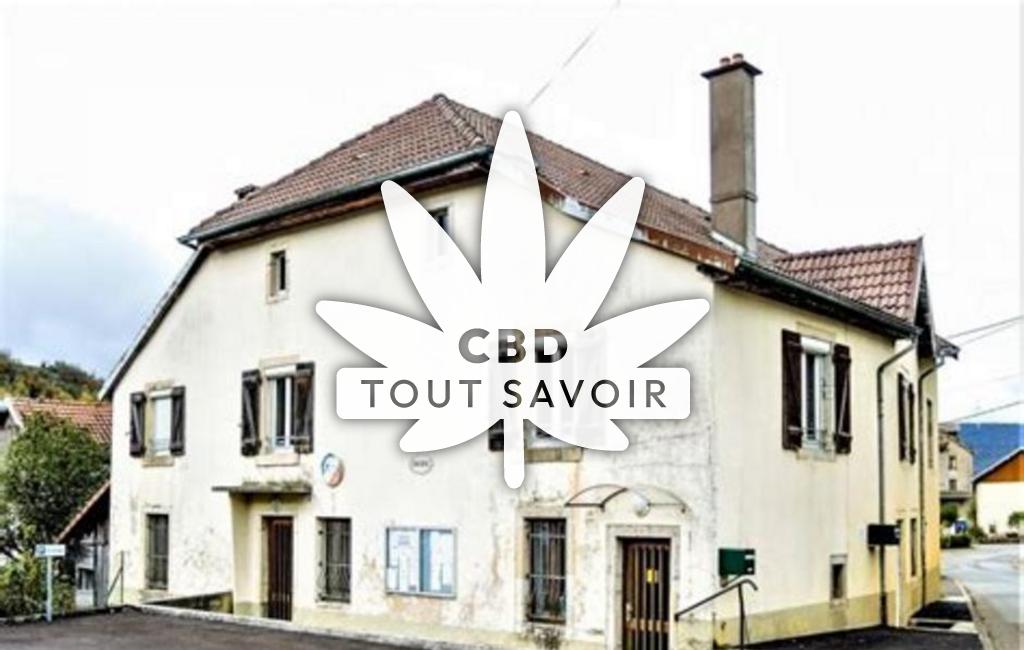 Village à Rosieres-sur-Barbeche avec feuille Cannabis CBD