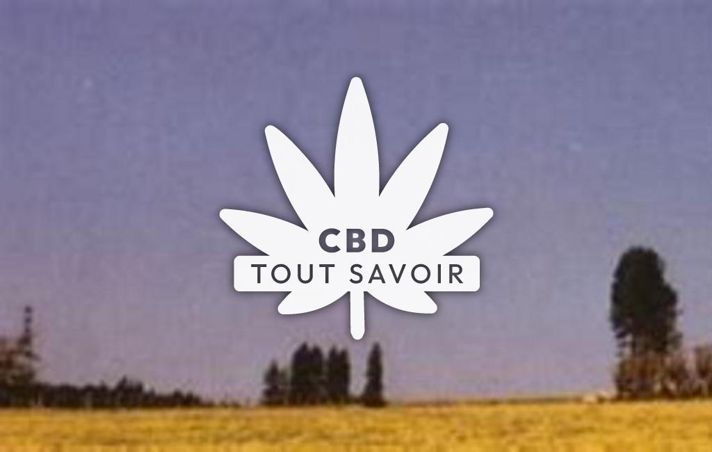 Village à Bonnetage avec feuille Cannabis CBD