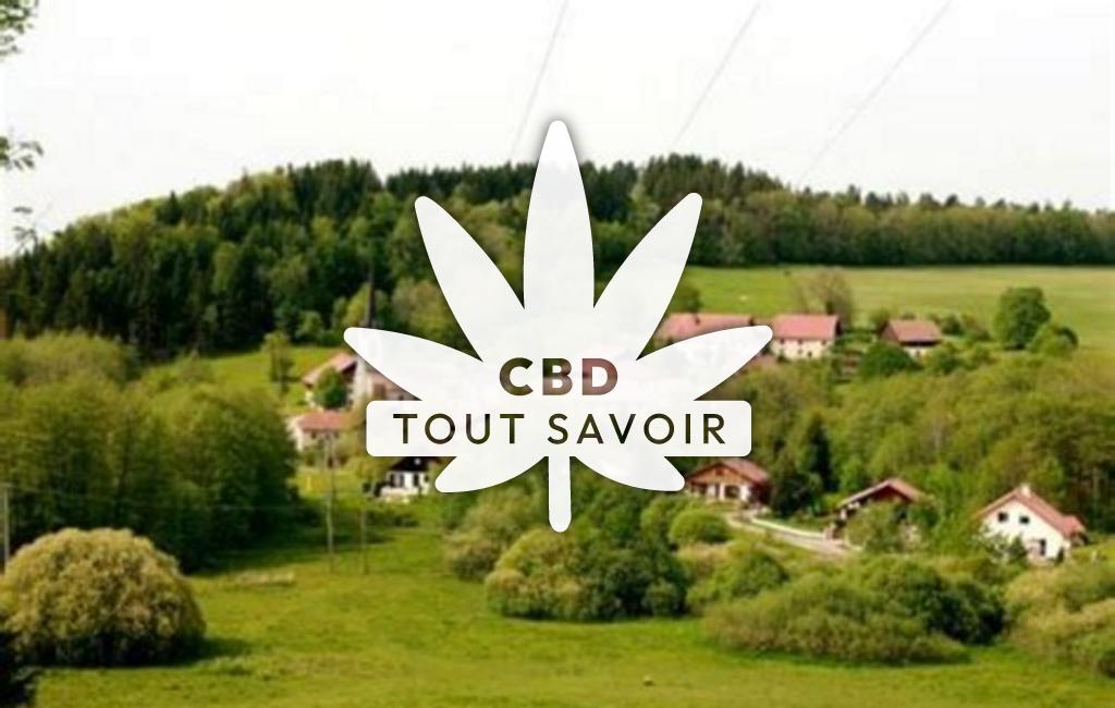 Village à Saint-Julien-les-Russey avec feuille Cannabis CBD