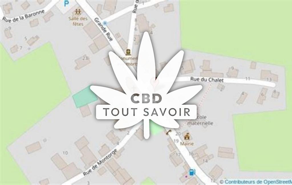 Village à Villers-sous-Chalamont avec feuille Cannabis CBD