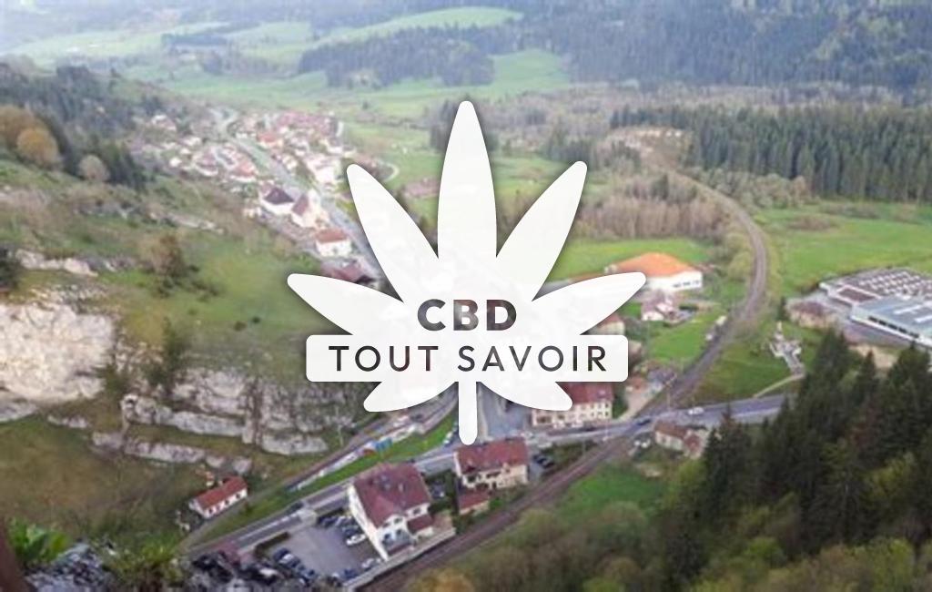 Village à La-Cluse-Et-Mijoux avec feuille Cannabis CBD