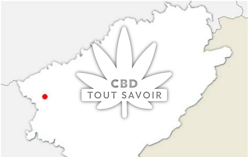 Village à Dannemarie avec feuille Cannabis CBD