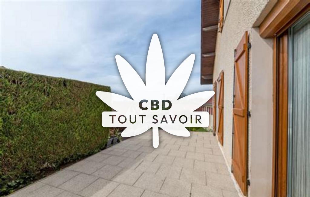 Village à Magny-Chatelard avec feuille Cannabis CBD