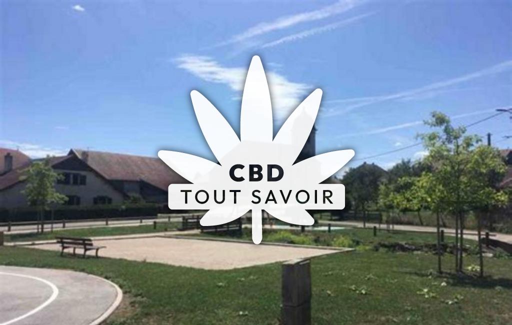 Village à Osse avec feuille Cannabis CBD