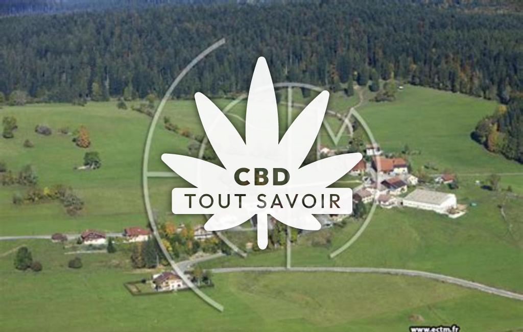 Village à Fourcatier-Et-Maison-Neuve avec feuille Cannabis CBD