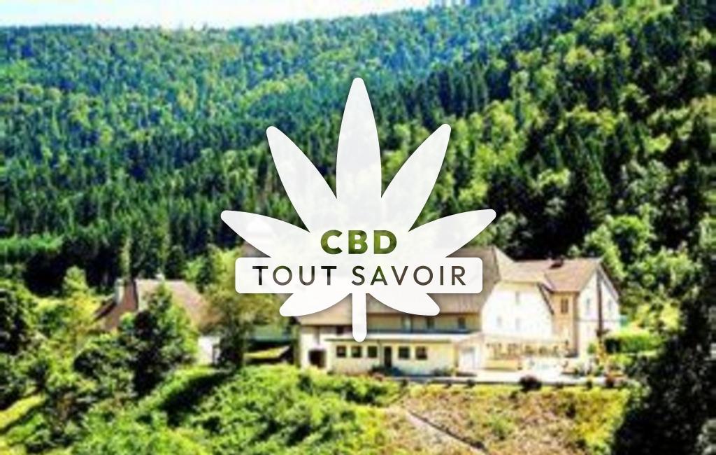 Village à Rosureux avec feuille Cannabis CBD