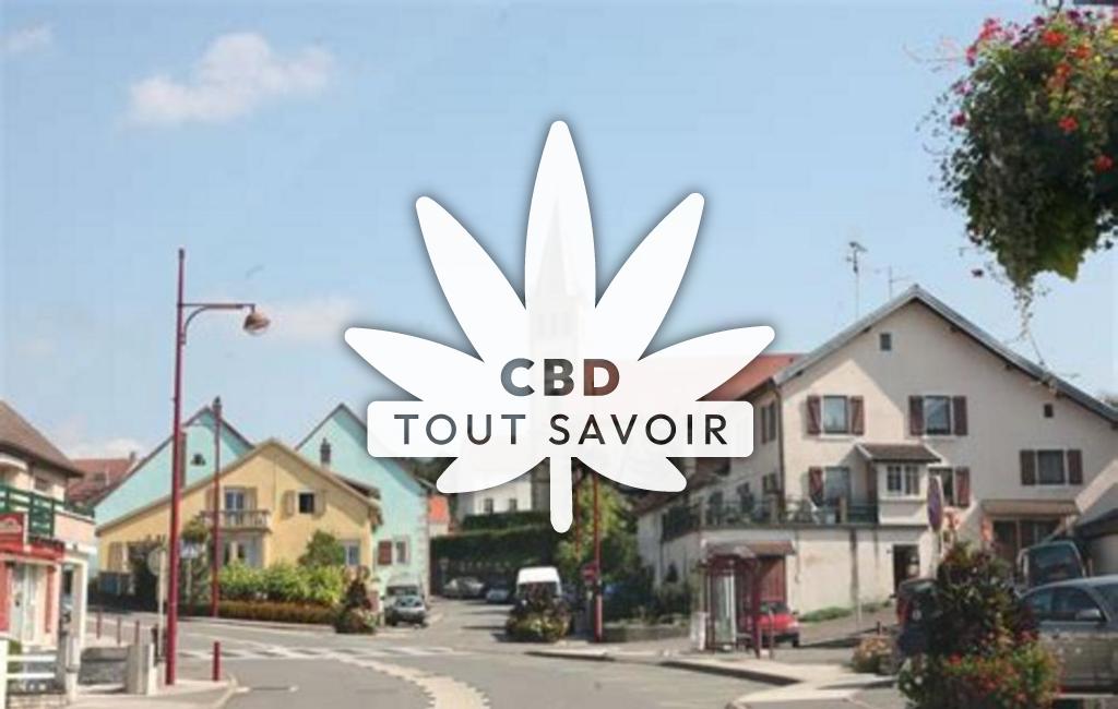 Village à Exincourt avec feuille Cannabis CBD