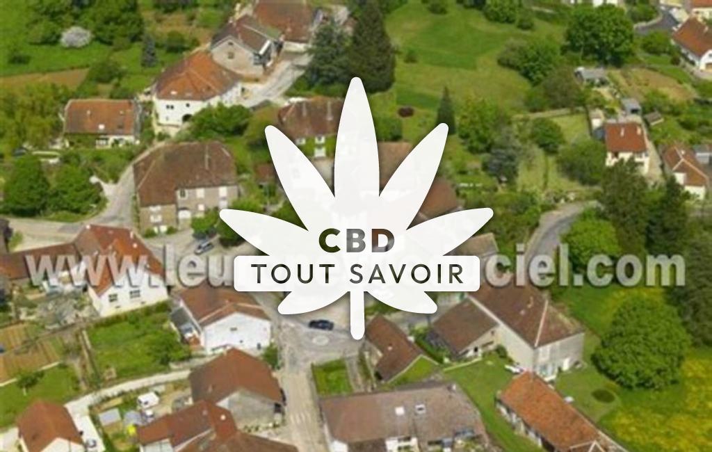 Village à Dannemarie-sur-Crete avec feuille Cannabis CBD