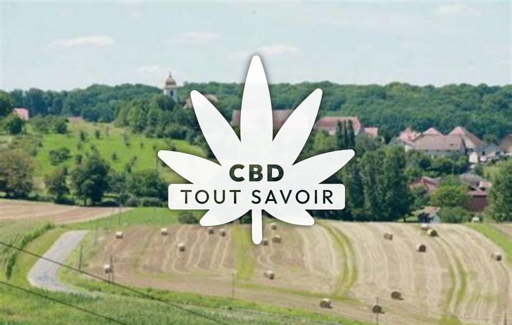Village à Ferrieres-les-Bois avec feuille Cannabis CBD