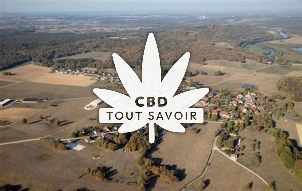 Village à Villars-Saint-Georges avec feuille Cannabis CBD