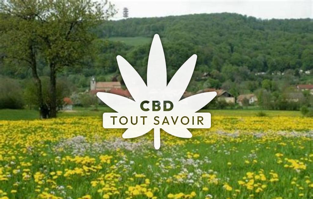 Village à Vyt-les-Belvoir avec feuille Cannabis CBD