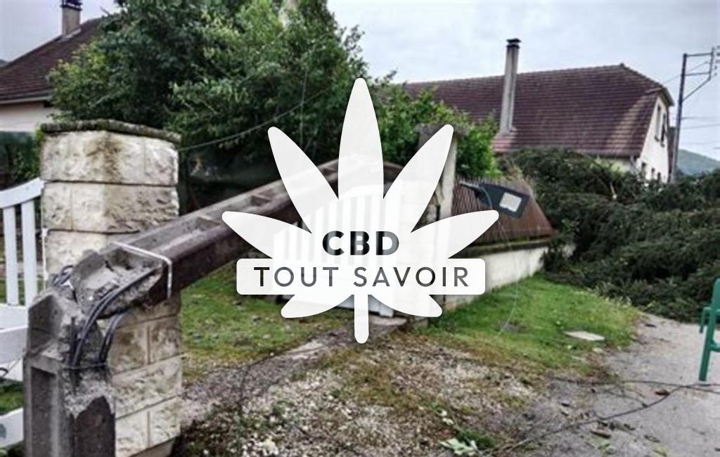 Village à Fourg avec feuille Cannabis CBD