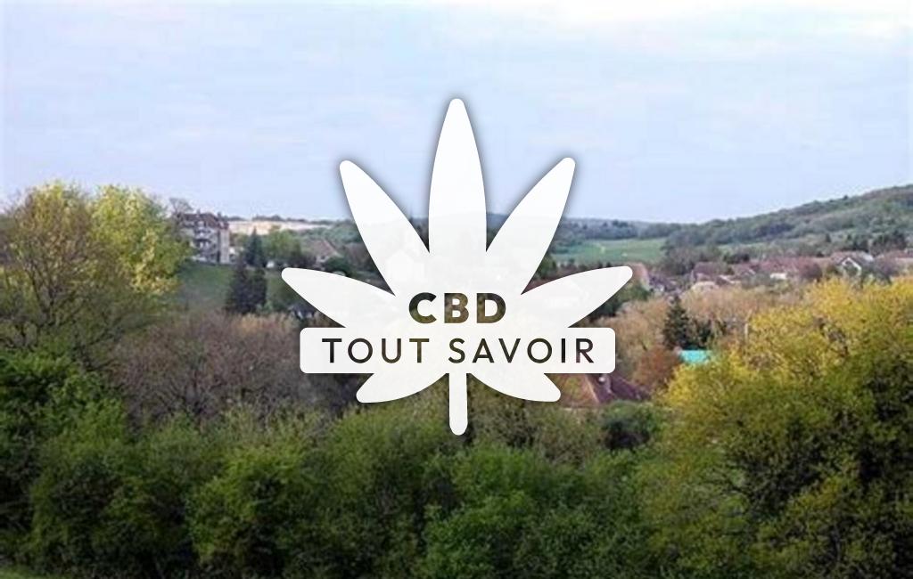 Village à Le-Val avec feuille Cannabis CBD