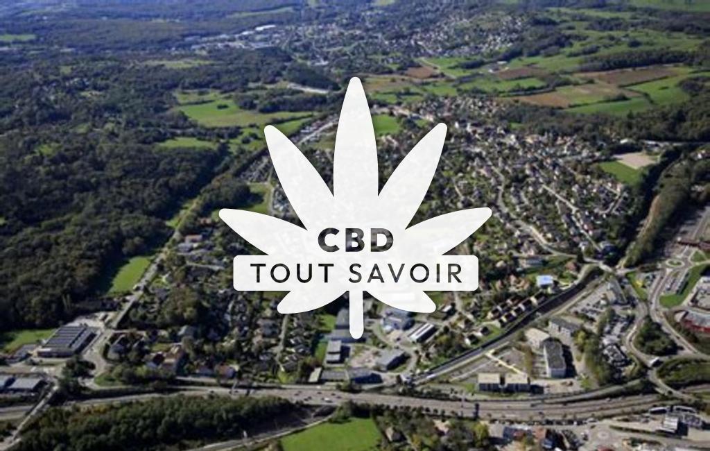Village à Ecole-Valentin avec feuille Cannabis CBD