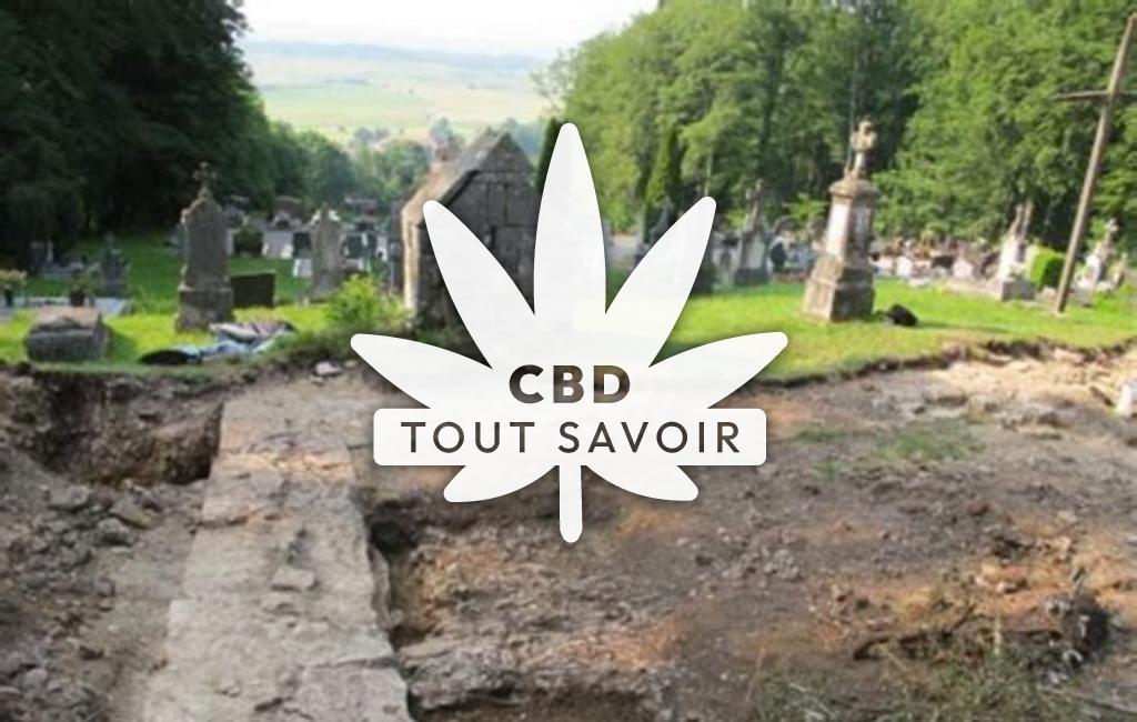Village à Domprel avec feuille Cannabis CBD