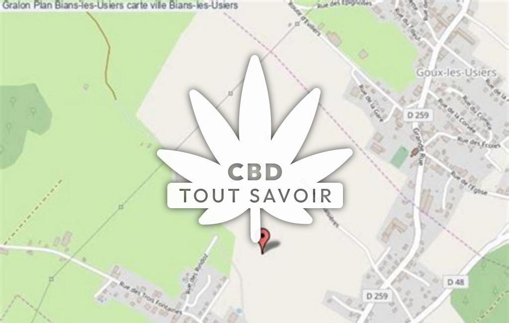 Village à Bians-les-Usiers avec feuille Cannabis CBD