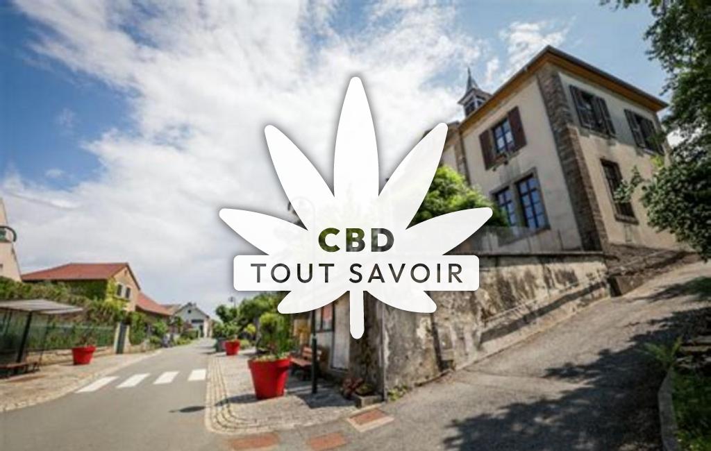 Village à Saint-Julien-les-Montbeliard avec feuille Cannabis CBD