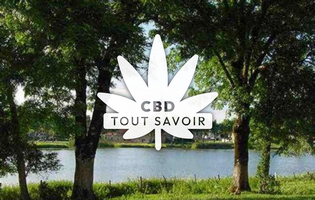Village à La-Riviere-Drugeon avec feuille Cannabis CBD