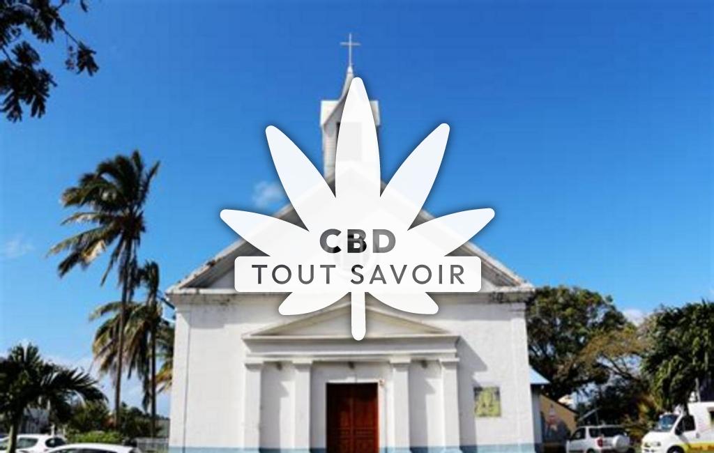Village à Sainte-Suzanne avec feuille Cannabis CBD