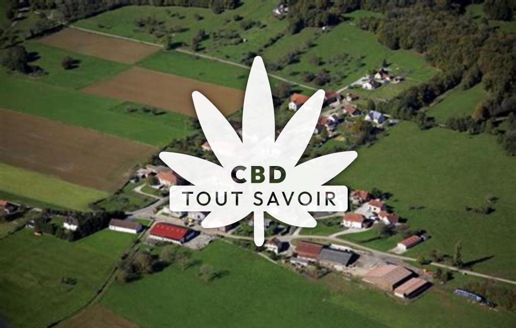 Village à Champoux avec feuille Cannabis CBD