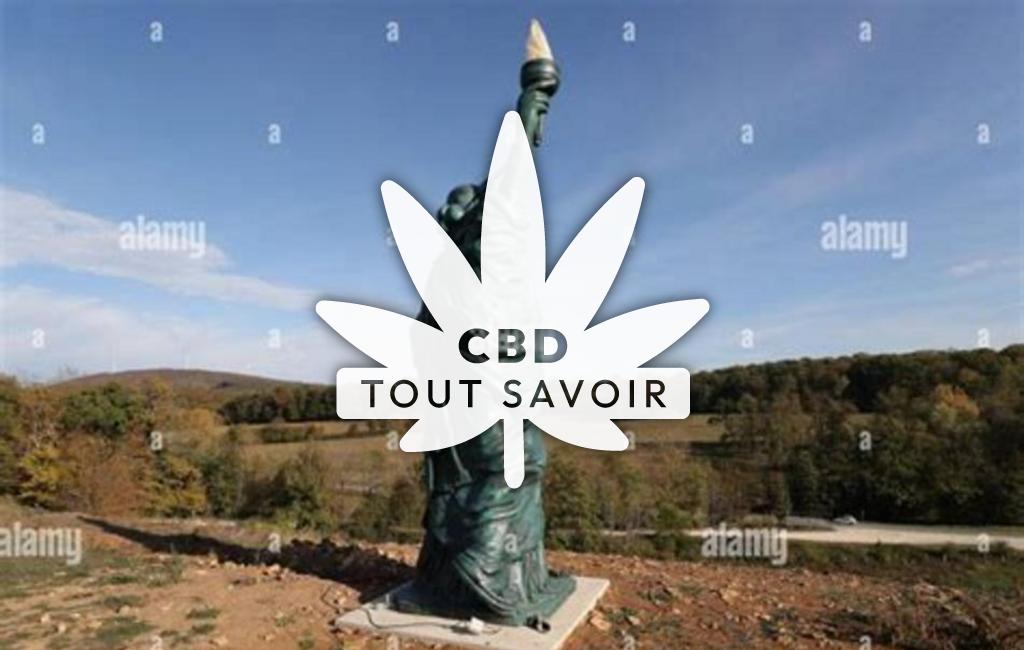 Village à Corcelle-Mieslot avec feuille Cannabis CBD