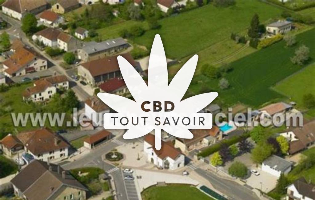 Village à Pouligney-Lusans avec feuille Cannabis CBD