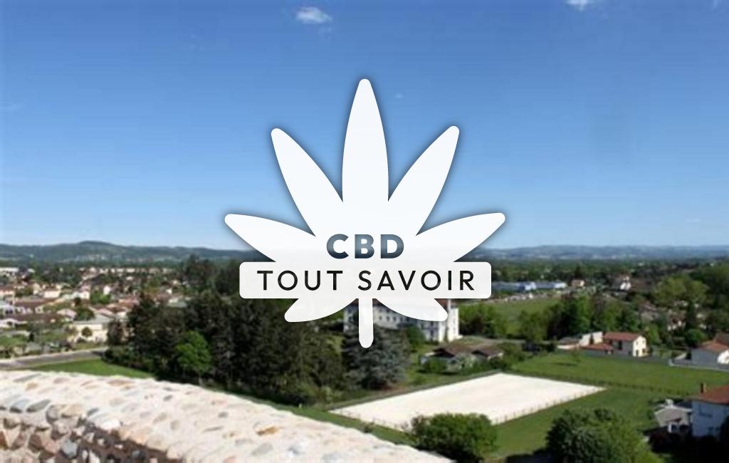 Village à Montrond-le-Chateau avec feuille Cannabis CBD