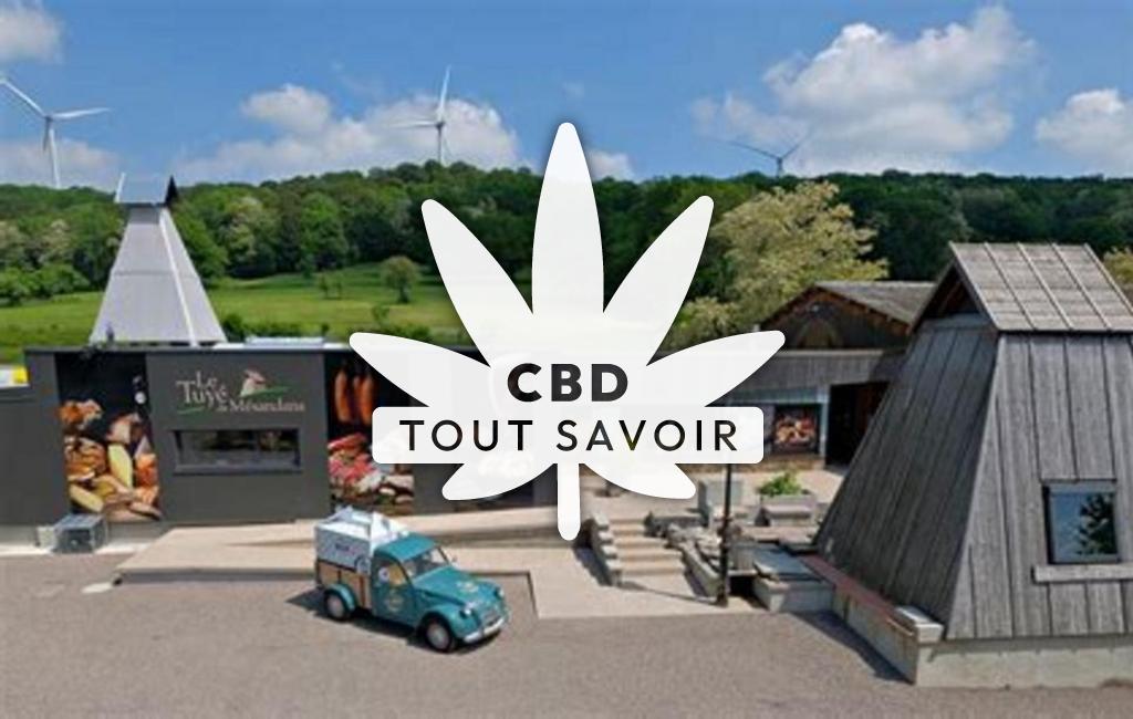 Village à Mesandans avec feuille Cannabis CBD