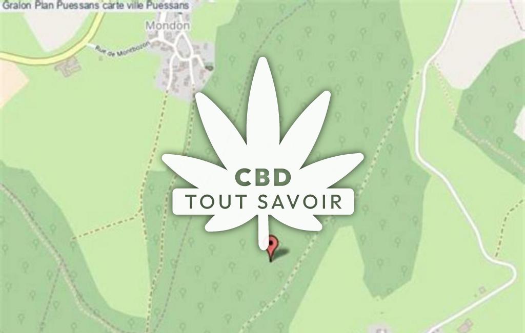 Village à Puessans avec feuille Cannabis CBD