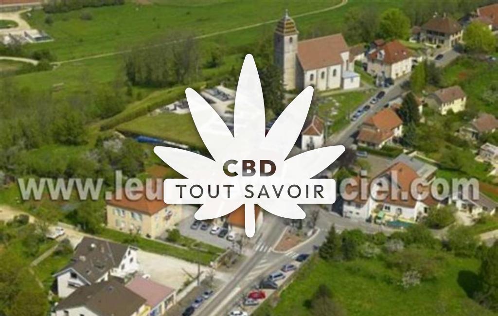 Village à Serre-les-Sapins avec feuille Cannabis CBD