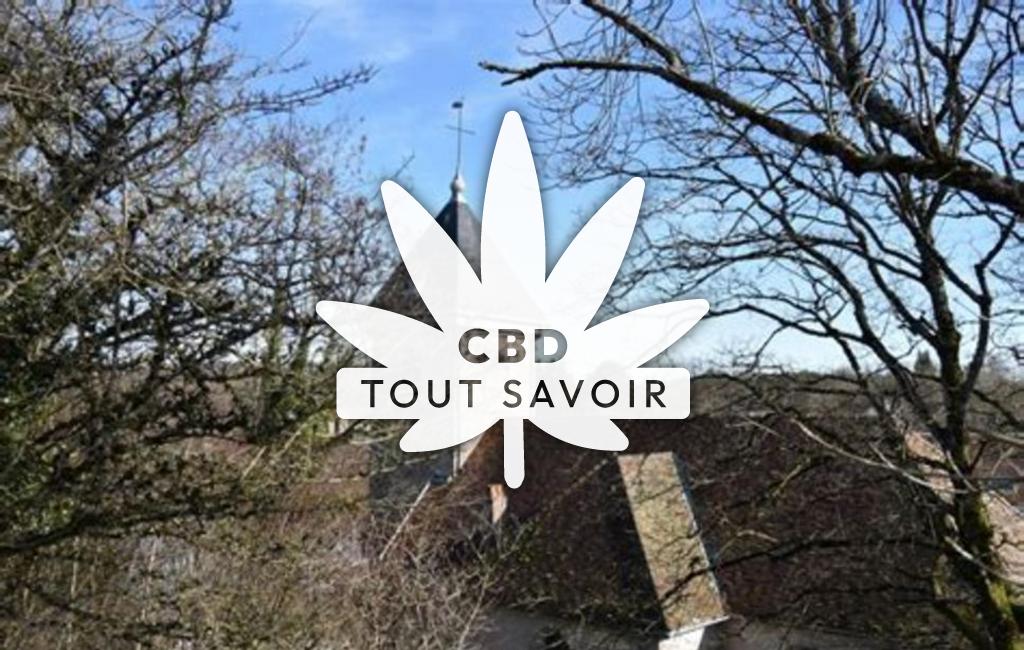 Village à Chatillon-le-Duc avec feuille Cannabis CBD